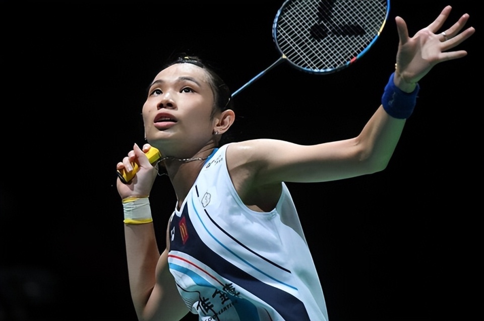 法国队绝杀印尼队，戴资颖关键制胜的简单介绍